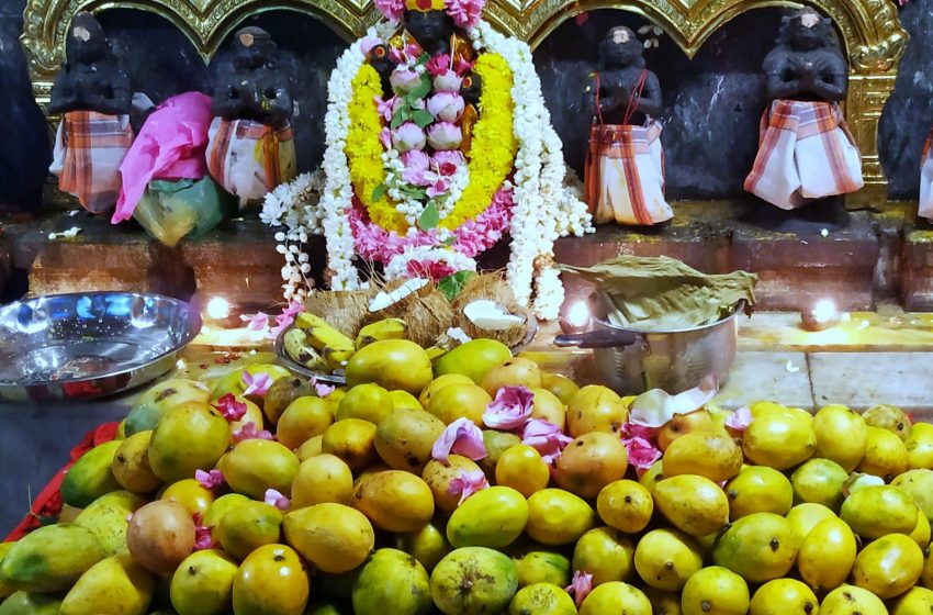  கோவில்பட்டி செண்பகவல்லி அம்மன் கோவிலில் மாங்கனி திருவிழா