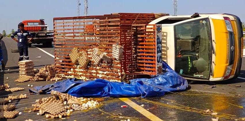  கோவில்பட்டி அருகே மினி லாரி கவிழ்ந்து விபத்து; ரூ.2 லட்சம் வாத்து முட்டைகள் உடைந்து நாசம்