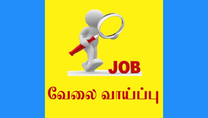  தூத்துக்குடியில் 28-ந் தேதி,  தனியார் துறை வேலைவாய்ப்பு முகாம்