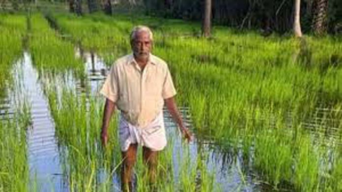  27 மாவட்ட விவசாயிகள், பயிர் காப்பீடு செய்ய நவம்பர் 15-ம் தேதி கடைசி நாள்