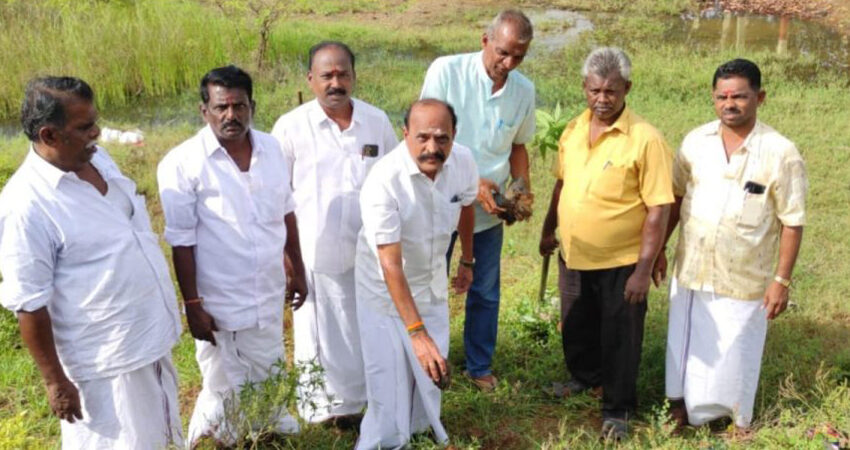  கண்மாய் பகுதியில் பனை விதைகளை கடம்பூர் ராஜூ நட்டு வைத்தார்
