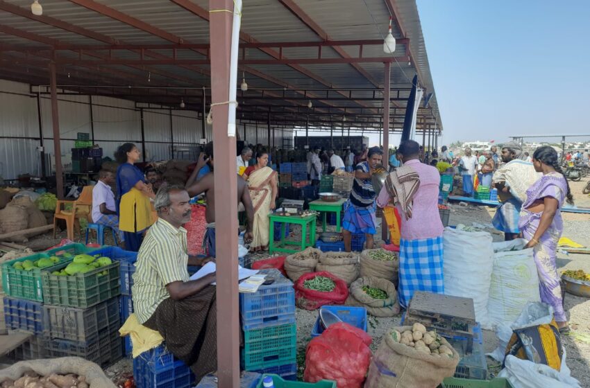  கோவில்பட்டி தெற்கு திட்டங்குளத்தில் புதிய மார்க்கெட்செயல்பட தொடங்கியது