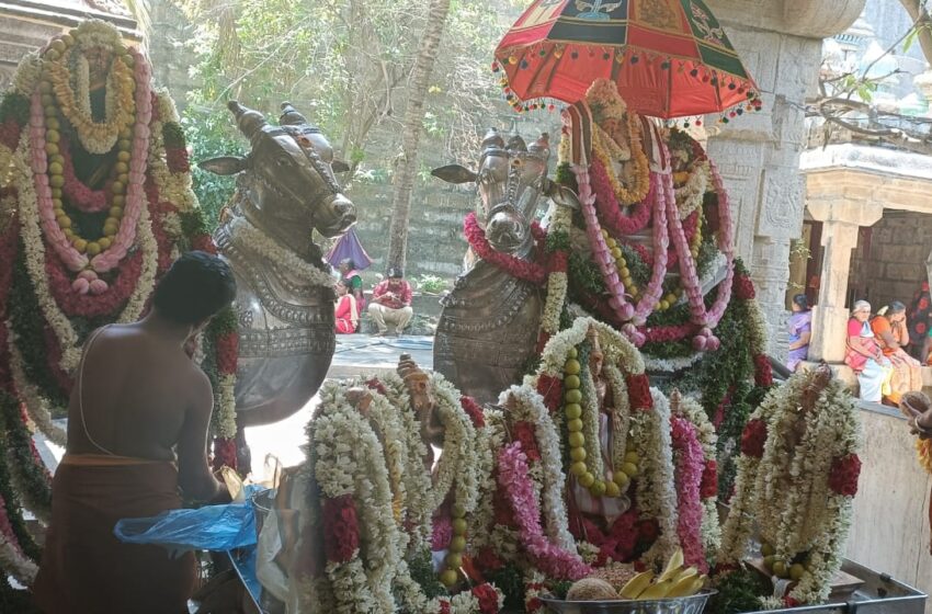  குற்றாலத்தில் குற்றாலநாதர் கோவிலில் சிறப்பு குருபூஜை