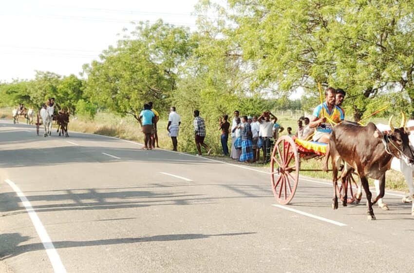  கோவில்பட்டி அருகே மாட்டு வண்டி பந்தயம்; வெற்றியாளர்களுக்கு ரொக்கப்பரிசு