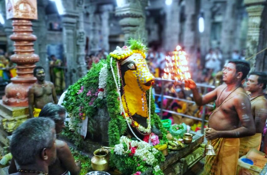  பூவனநாதசுவாமி கோவிலில் பிரதோஷம் சிறப்பு பூஜை