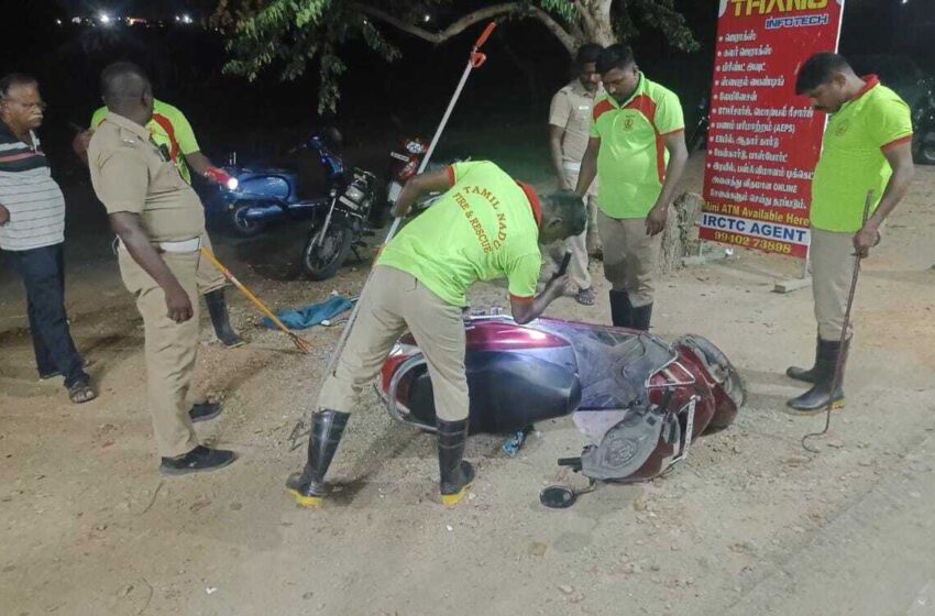  கோவில்பட்டியில் பெண்ணின் ஸ்கூட்டருக்குள் புகுந்த பாம்பு -பரபரப்பு