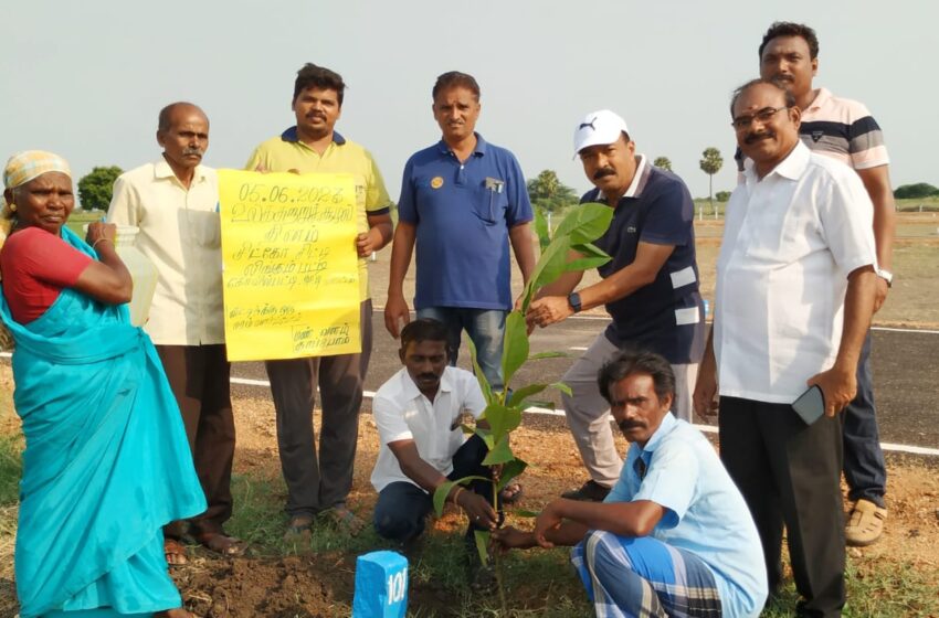  கோவில்பட்டி அருகே லிங்கம்பட்டியில்  உலக சுற்றுச்சூழல் தின விழா                                                                           