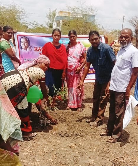  பாண்டவர்மங்கலம் பஞ்சாயத்தில் மரக்கன்றுகள் நடும் நிகழ்ச்சி