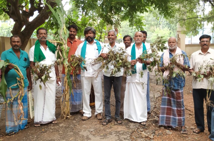  கனமழையால் பயிர்கள் பாதிப்பு: நிவாரணம் கோரி தேசிய விவசாயிகள் சங்கத்தினர் மனு