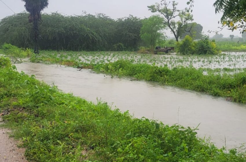  கோவில்பட்டியில் 3-வது நாளாக மழை; சாலைகள் அரிப்பு பயிர்கள் தண்ணீரில் மூழ்கின