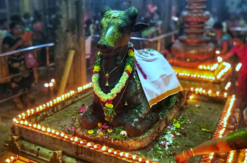  கோவில்பட்டி செண்பகவல்லி அம்மன் கோவிலில் 10,000 தீபம் ஏற்றி வழிபாடு