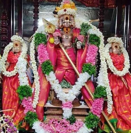  எட்டுக்குடி முருகன் கோவில் …