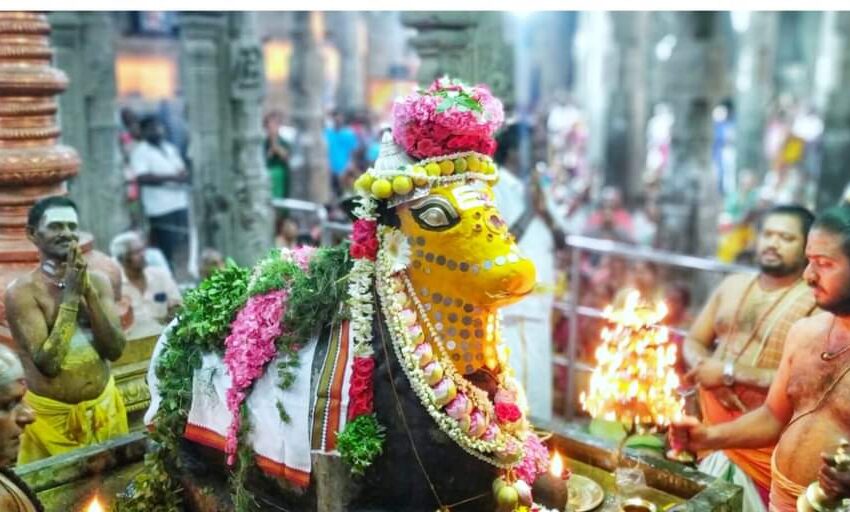  கோவில்பட்டி பூவனநாத சுவாமி கோவிலில் மகா சிவராத்திரி சிறப்பு பூஜைகள் ; பக்தர்கள் விடிய விடிய தரிசனம்