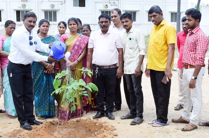  உலக சுற்றுச்சூழல் தினத்தில் மரக்கன்று நடும் பணி