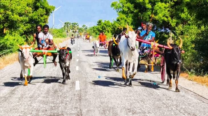  கோவில்பட்டி அருகே மாட்டு வண்டி பந்தயம்