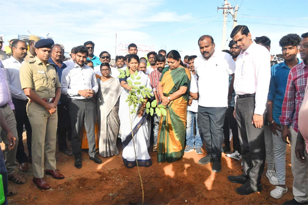  தூத்துக்குடியில் சாலையோரத்தில்   20 ஆயிரம்  மரக்கன்றுகள் நடும் பணி தொடக்கம்