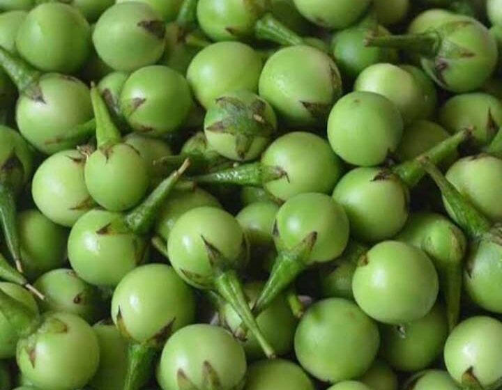  வயிற்றில் உள்ள பூச்சிகளை அழிக்கும் சுண்டைக்காய் “