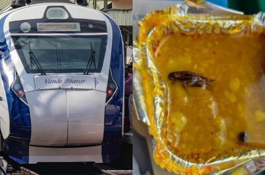  வந்தே பாரத்: சாம்பாரில் வண்டு- உணவு சப்ளை செய்த நிறுவனத்துக்கு அபராதம் விதித்த தெற்கு ரெயில்வே