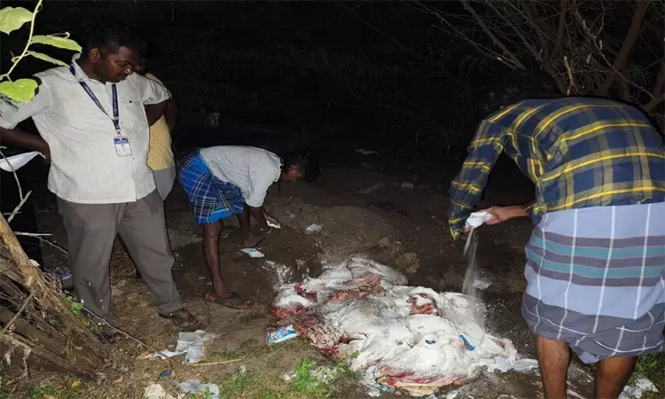  தூத்துக்குடியில் வீட்டில் விற்பனை: 110 கிலோ பழைய மாட்டிறைச்சி பறிமுதல் செய்து அழிப்பு