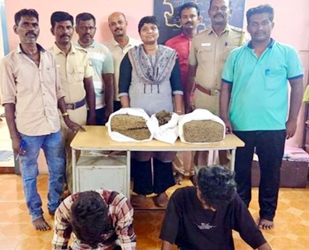  கோவில்பட்டியில் கஞ்சா வேட்டை தொடருகிறது; மேலும் 3 பேர் சிக்கினர்  