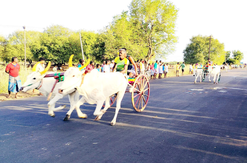  கோவில்பட்டி அருகே மாட்டுவண்டி பந்தயம்; கிராம மக்கள் ஆரவாரம்