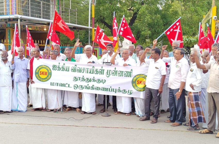  பருத்திக்கு மானியம் வழங்க கோரி விவசாயிகள் ஆர்ப்பாட்டம்