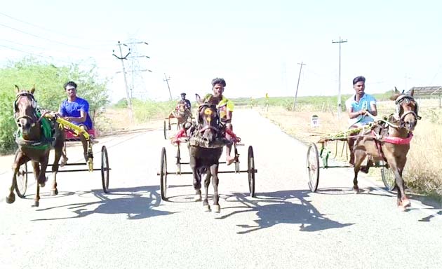  விளாத்திகுளம் அருகே பந்தயத்தில் சீறிப்பாய்ந்த குதிரை ,மாட்டு வண்டிகள்