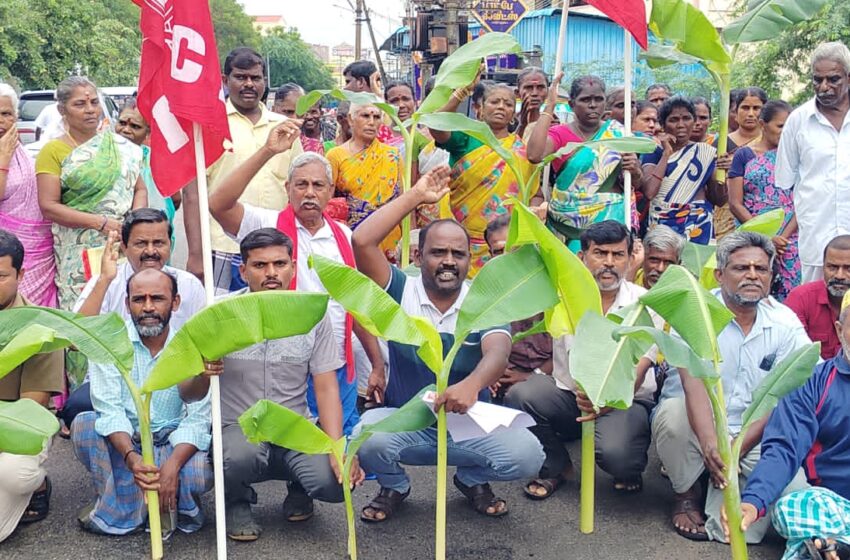  கோவில்பட்டியில் இந்திய கம்யூனிஸ்ட் கட்சியினர் சாலையில் வாழை நடும் நூதன போராட்டம்