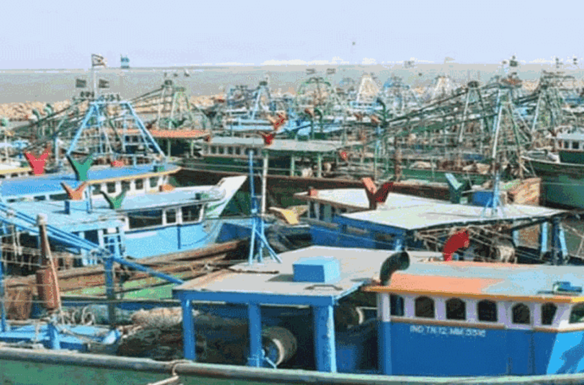  தமிழகத்தில் நள்ளிரவு முதல் மீன்பிடி தடைக்காலம் அமலுக்கு வந்தது