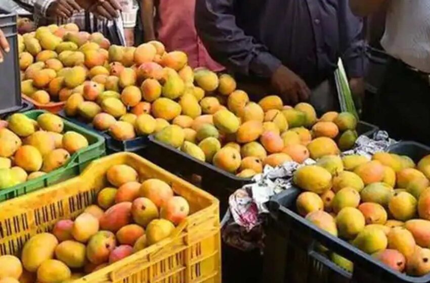  ரசாயனம் கலந்த மாம்பழங்களை விற்றால் ரூ.5 ஆயிரம் அபராதம்: தமிழக அரசு எச்சரிக்கை