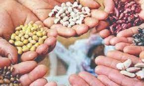  உளுந்து விதை, இடுபொருள்கள் 50 சதவீத மானியத்தில் விநியோகம்