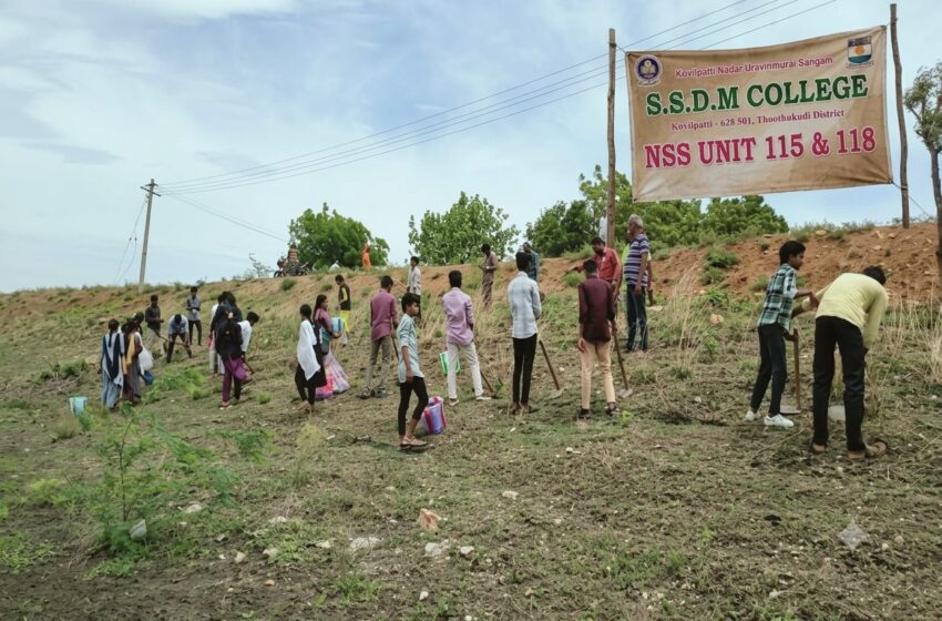  கோவில்பட்டி அருகே லிங்கம்பட்டியில் எஸ்.எஸ்.டி. எம்.கல்லூரி மாணவர்கள்  பனை விதைகள் நட்டனர் 