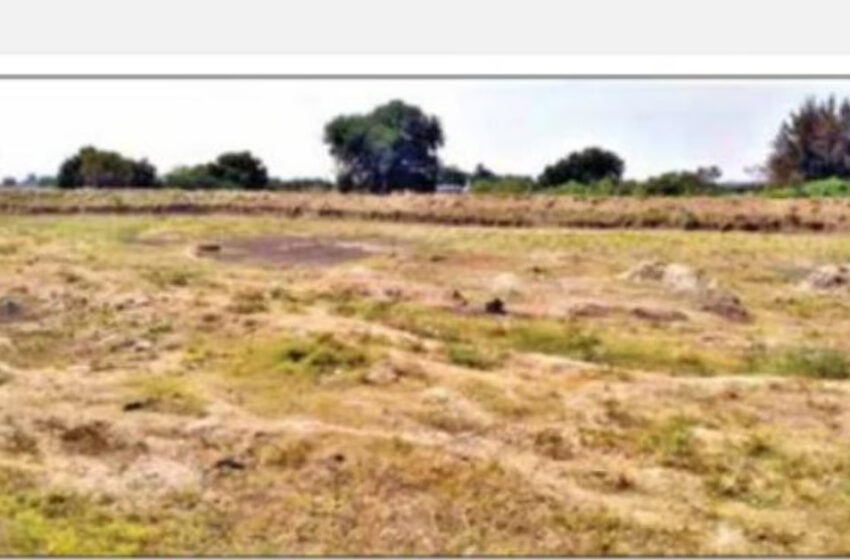  தமிழகத்தில் தண்ணீர் தட்டுப்பாடு அபாயம்: தூத்துக்குடி உள்பட 14 மாவட்டங்களில் ஏரிகள் வறண்டன