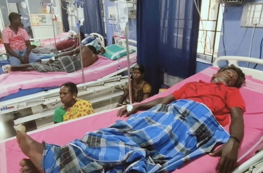  கோவில்பட்டி அருகே குளவிகள் கொட்டியதில் 100க்கும் மேற்பட்டோர் பாதிப்பு